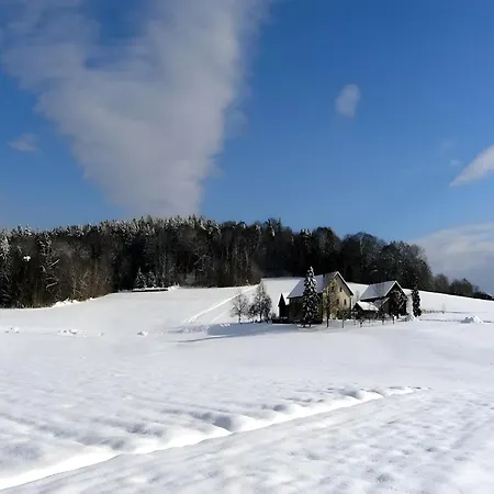 Near The River In Bavaria Deggendorf